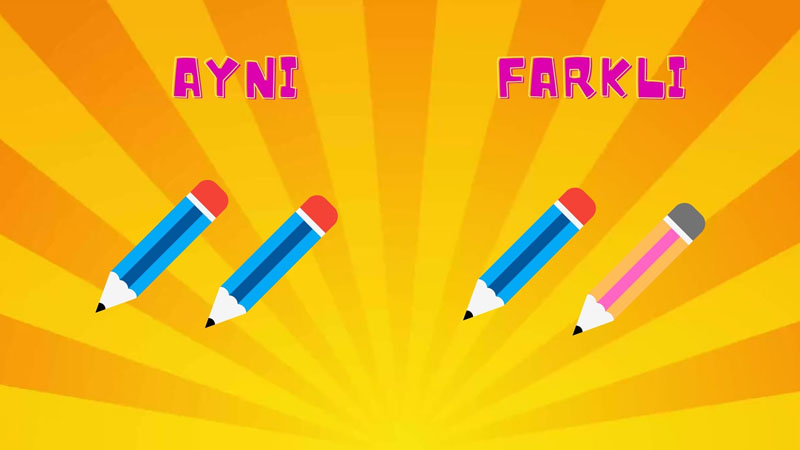 Aynı - Farklı