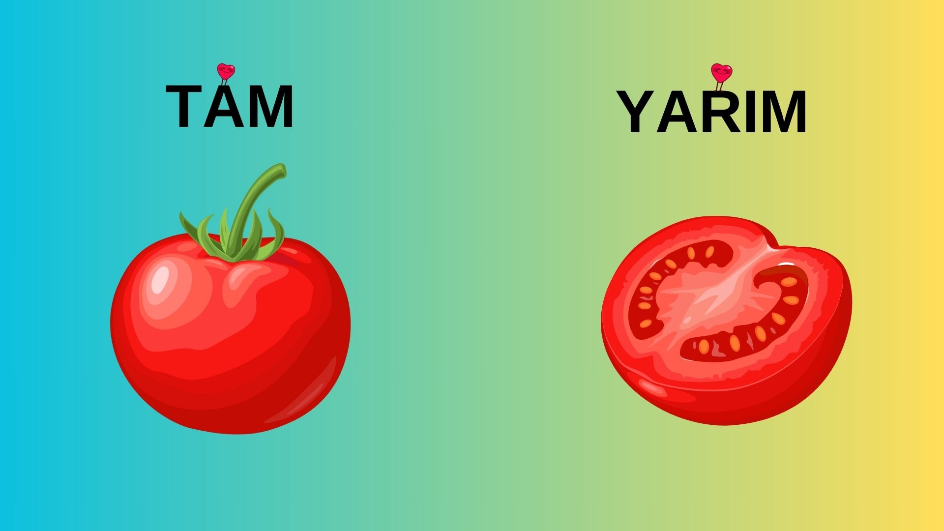 Tam - Yarım