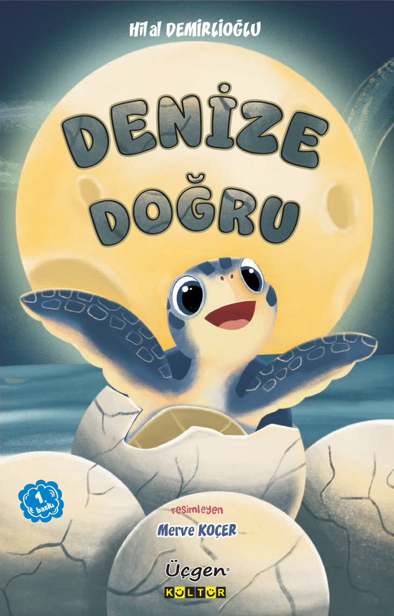 Denize Doğru Kapak Resmi