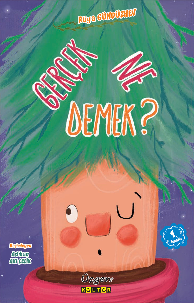 Gerçek Ne Demek? Kapak Resmi
